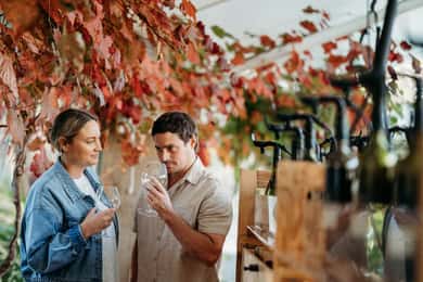 From Perth: Margaret River Wine Tour & Wildlife Cruise