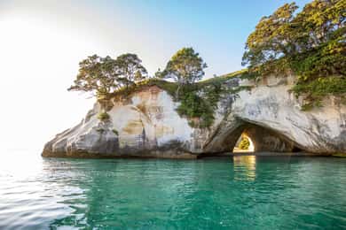 Wycieczka jednodniowa z Auckland do Driving Creek i CATHEDRAL COVE