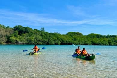Kayak Rental
