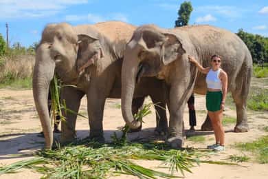 Depuis Siem Reap : Expérience au Sanctuaire des Éléphants avec transferts