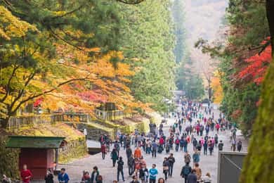 Tour del patrimonio mondiale di Nikko con autista inglese