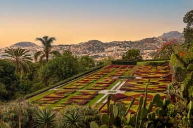 Tour Funchal e Monte Palace: Experiência Inesquecível
