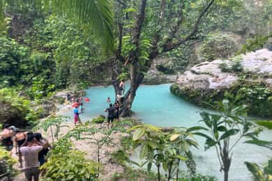 Cebu: Tubarão-baleia, Cataratas de Inambakan e excursão às sardinhas de Moalboal