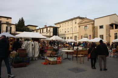 Lucca: join a 'must see' walking tour! (English)