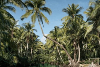 Siargao: Landtur med lunch och Sugba-lagunen