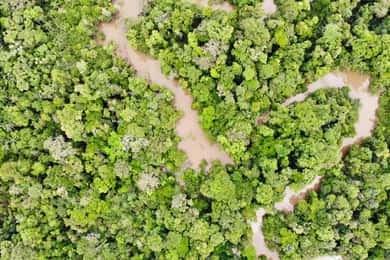 Amazonas Extreme
