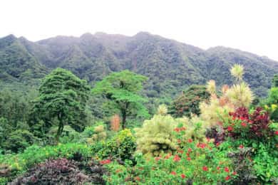 Kingstown: Montreal Gardens and Belmont Lookout Tour