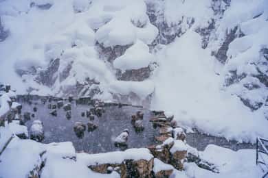 2-Day Snow Monkey Tour: Nagano To Takayama via Matsumoto