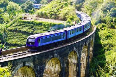 Hikkaduwa/Galle/Weligama/Mirissa: Day Trip to Ella Highlands