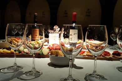 Visita a la Bodega Castillo Viejo y Cata Premium