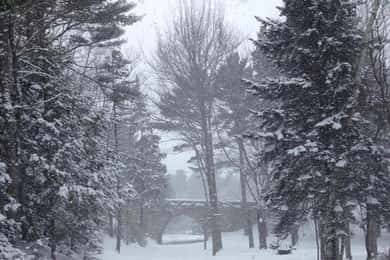 Bar Harbor, Maine: Winter in Acadia Private Driving Tour