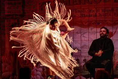 Мадрид: аутентичное фламенко в Flamenco de Leones