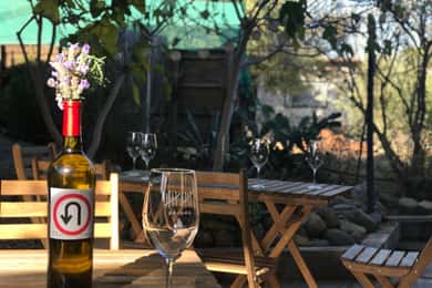 Excursão ao Vale de Guadalupe: degustações de vinhos incluídas