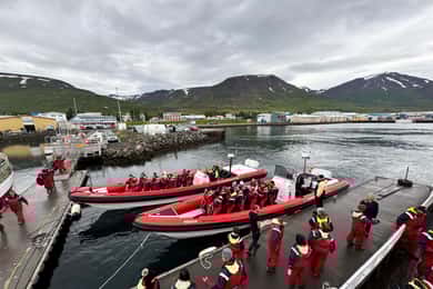 Dalvík: Whale Watching Speedboat Tour
