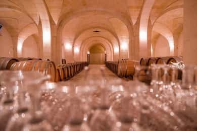 Degustazione di vini biologici e olio d'oliva vicino a Lecce