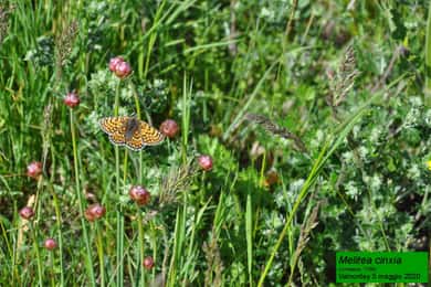 UNSER FANTASTISCHER NATIONALPARK!
