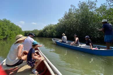 Ecoturismo em manguezal e pesca no manguezal natural de Cartagena