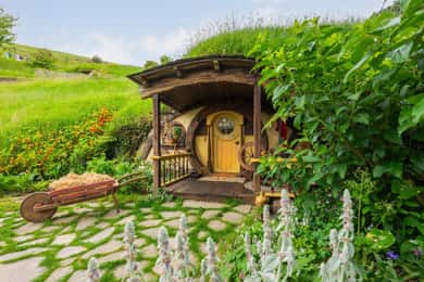 From Auckland: Hobbiton Movie Set Full-Day Trip