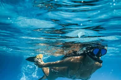 Paddle Surf & Snorkeling-oplevelse i Playa de las Américas