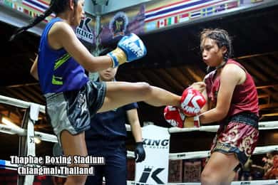 Thaphae Boxing Stadium Muay Thai