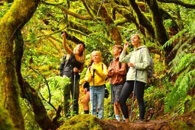 Tenerife: Escursione nelle montagne di Anaga e nella foresta incantata