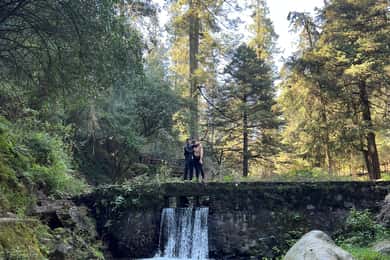 Mexico city: Hiking tour to Desierto de los leones