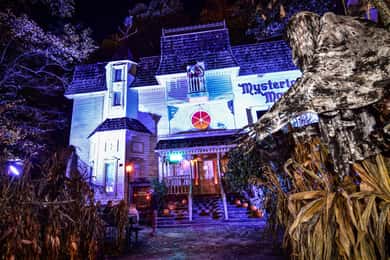 Gatlinburg Ghost Tours: Gilded Age Graves and Ghouls