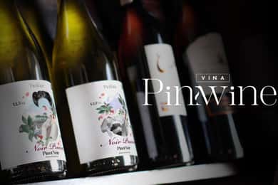 Tour de vinhos com degustação na primeira adega de Pucón