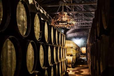 Vintur til Setúbal: Oppdag Moscatel-vinen