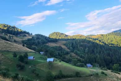 Sibiu: Cindrel Mountains Hike with Traditional Brunch