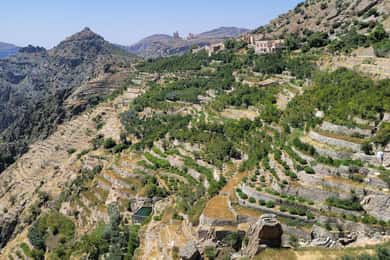 gita di un'intera giornata a Jabal Akhdar con un'escursione leggera