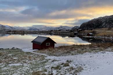From Leknes: Lofoten Sightseeing Tour