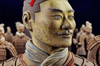 Armée de terre en terre cuite de Xi'an : service de guide en anglais et options de visite