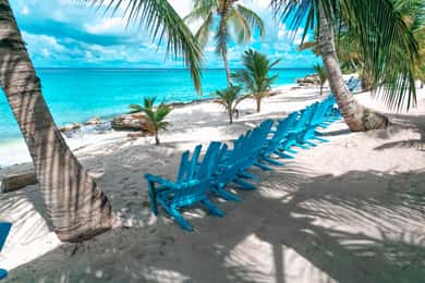 Punta Cana: Saona Island Half-Day Eco Tour – Small Group