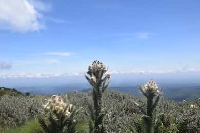 Elephant Hills Hike: 1-Day Adventure from Nairobi/Naivasha