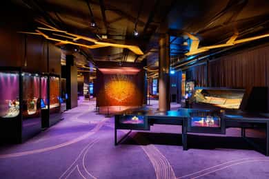 Stockholm: Historiska Museet Inträdesbiljett