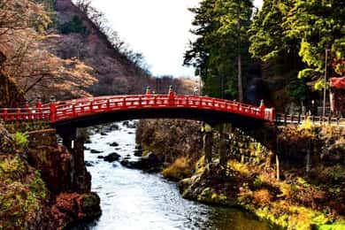 Kanto 10-hour chartered day trip｜Nikko