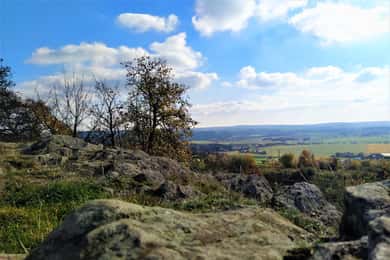 Au-delà de Brno : les secrets de la nature morave - visite d'une demi-journée