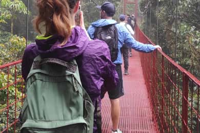 Monteverde: Exploring the Cloud forest