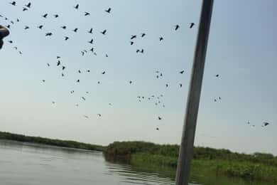 6 Day 5 Night Mundari and Dinka tribe & Sudd Swamp Tour