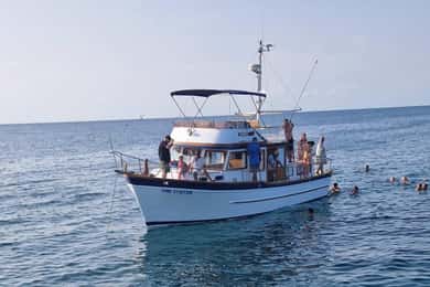 Von Umag: Bootstour nach Savudrija mit Schwimmen und Delfinen