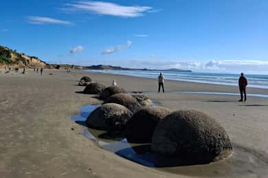 From Dunedin: Mt. Cook and Lake Pukaki Private Day Tour
