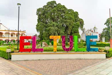 Oaxaca: El Tule tree, Teotitlan Village & Mezcal Tour