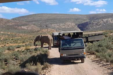 4 Days Private Cape Town Exploration and Surroundings