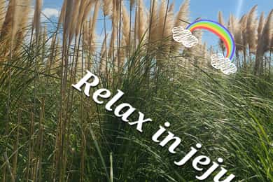 Discover the highlights of Jeju island and its UNESCO sites!