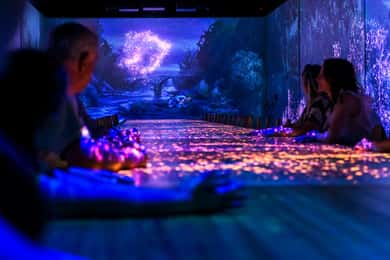 Fra Zadar til Trogir, Primošten og Etnoland Experience