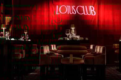 Marrakech: Vibrante Cena Espectáculo en el Club Lotus