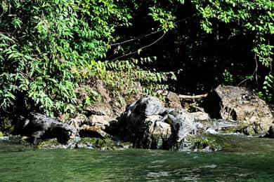From Tuxtla:4 dias, Chiapas,Naturaleza,Cultura yMagia Guiado