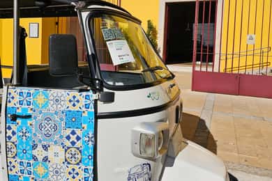 Tavira Total Tuk Tuk Tour: Tavira Tour & Tuna Museum Visit
