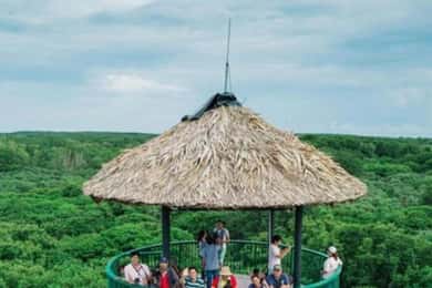 Ho Chi Minh: Can Gio Mangrove and Monkey Island